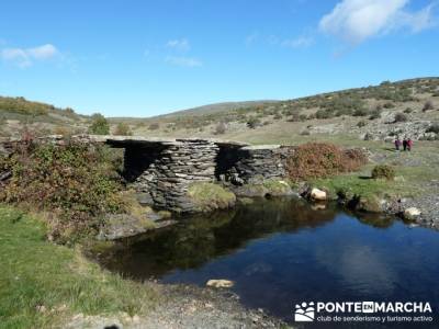 Trekking y aventura, Parque Natural del Hayedo de Tejera Negra; belen viviente de buitrago